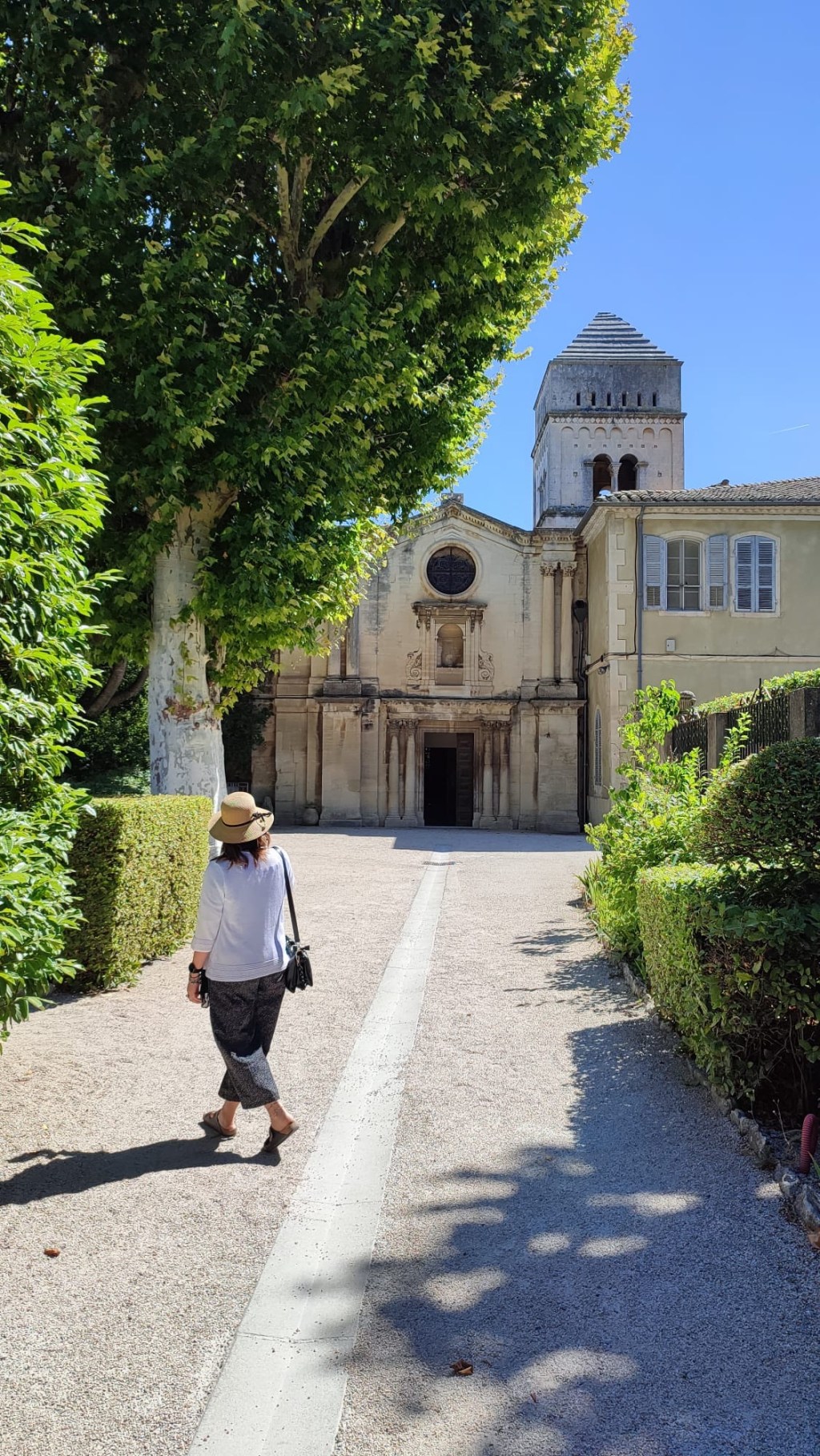 SAINT PAUL DE  MAUSOLE & VINCENT VAN&nbsp;GOGH