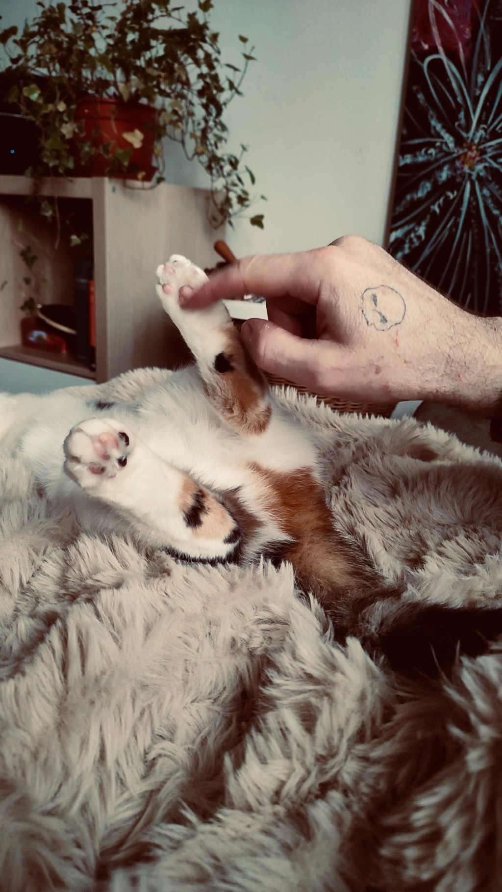 PICCOLI MIGLIORAMENTI