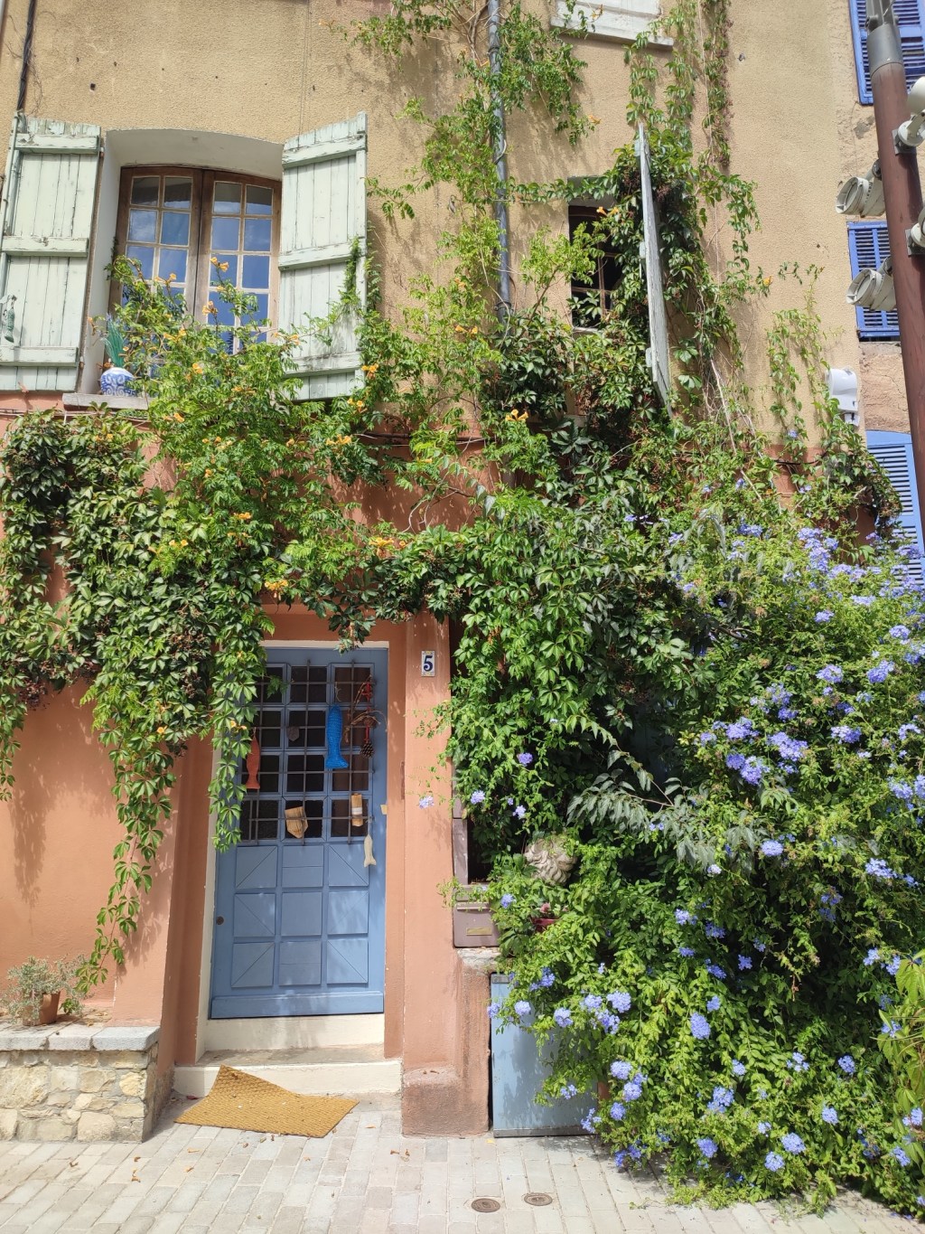 PROVENZA E NON, COSA&nbsp;VEDERE