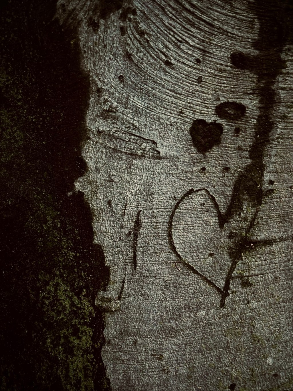 “COSA C’E’ DI&nbsp;MIO?”